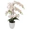 22-Inch Phalaenopsis Orchid Arrangement in Elegant Floral Décor for Home and Office, Floral Home by Artificial Flowers